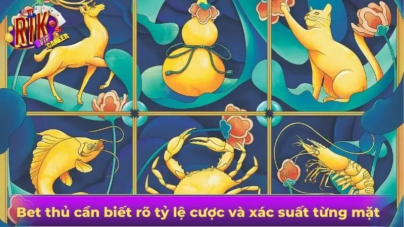 Bet thủ cần biết rõ tỷ lệ cược và xác suất từng mặt